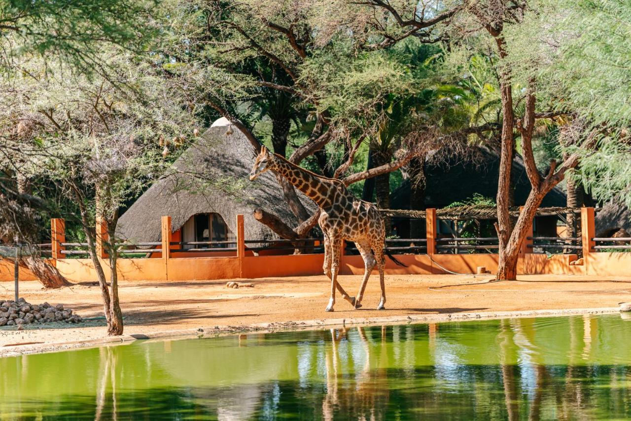 Omaruru Game Lodge Exterior foto